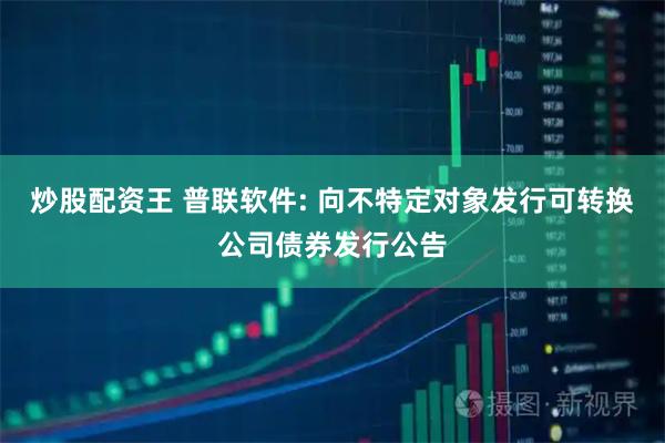 炒股配资王 普联软件: 向不特定对象发行可转换公司债券发行公告
