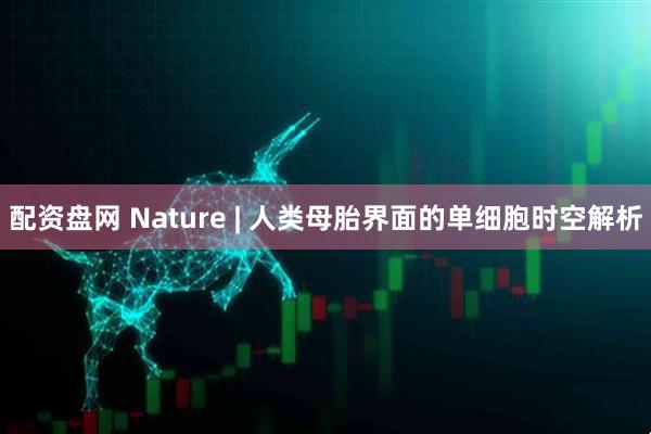 配资盘网 Nature | 人类母胎界面的单细胞时空解析