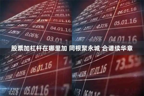 股票加杠杆在哪里加 同根聚永城 合谱续华章